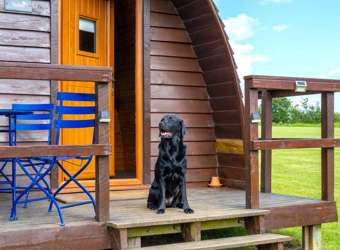 Glamping Pods